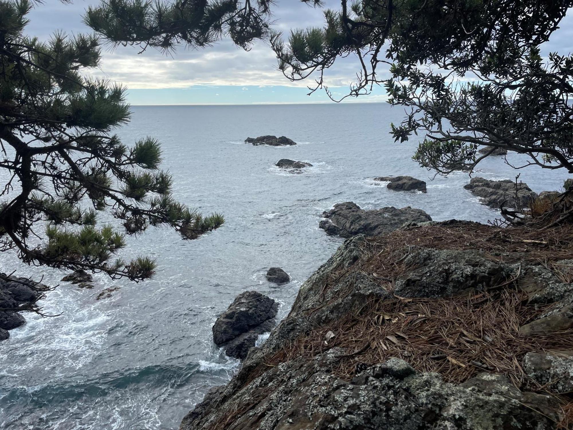 Lottin Point Motel Cape Runaway Екстер'єр фото